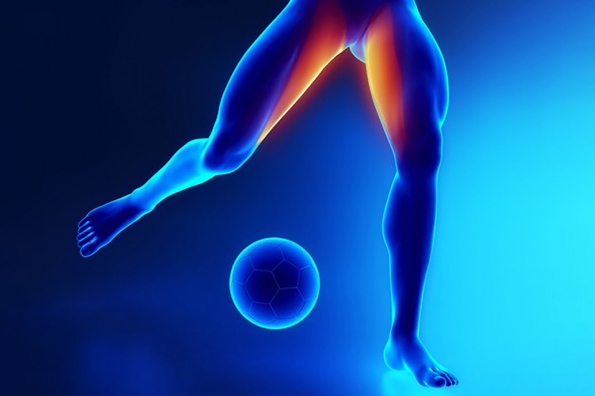 Fisioterapia No Tratamento De Pubalgia Imot Sports 0117