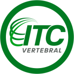 ITC-VERTEBRAL